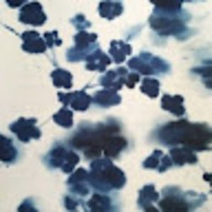 Meet your Posher, Ziga